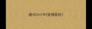 通州24小时宠物医院