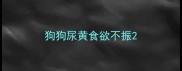 狗狗尿黄食欲不振