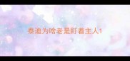 泰迪为啥老是盯着主人