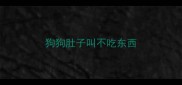 狗狗肚子叫不吃东西