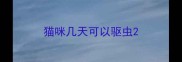 猫咪几天可以驱虫