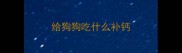 给狗狗吃什么补钙