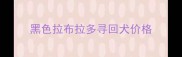 黑色拉布拉多寻回犬价格