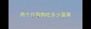 两个月狗狗吃多少蛋黄