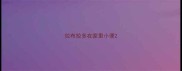拉布拉多在家里小便
