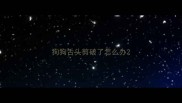 狗狗舌头剪破了怎么办
