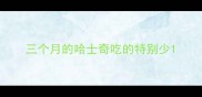 三个月的哈士奇吃的特别少