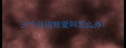 三个月边牧爱叫怎么办