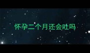 怀孕二个月还会吐吗