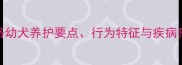 2个月哈士奇全攻略幼犬养护要点行为特征与疾病预防新手必看