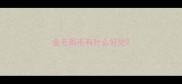 金毛剃毛有什么好处