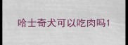 哈士奇犬可以吃肉吗