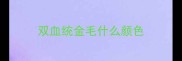 双血统金毛什么颜色