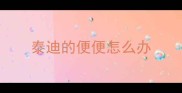泰迪的便便怎么办