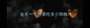 金毛一个月要吃多少狗粮