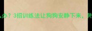 哈士奇爱叫怎么办3招训练法让狗狗安静下来附全年养护指南