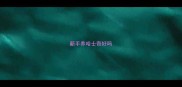 新手养哈士奇好吗