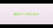 藏獒几个月停止身长