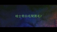 哈士奇白毛閘黑毛