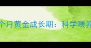 茶杯泰迪幼犬6个月黄金成长期科学喂养与护理全指南