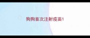 狗狗首次注射疫苗