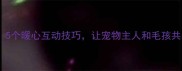 猫咪行为学5个暖心互动技巧让宠物主人和毛孩共享快乐时光