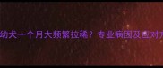 金毛幼犬一个月大频繁拉稀专业病因及应对方案