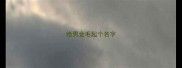 给男金毛起个名字