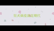 狂犬病疫苗定期打