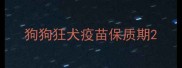 狗狗狂犬疫苗保质期