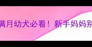 7天科学喂养指南刚满月幼犬必看新手妈妈别踩雷的喂养全攻略