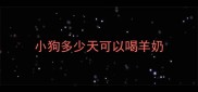 小狗多少天可以喝羊奶