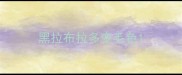黑拉布拉多变毛色