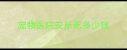 宠物医院安乐死多少钱