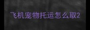 飞机宠物托运怎么取