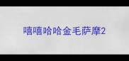 嘻嘻哈哈金毛萨摩
