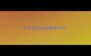 拉布拉多和比熊哪个好