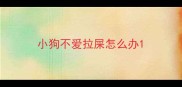 小狗不爱拉屎怎么办