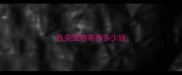西安宠物寄养多少钱