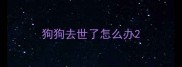 狗狗去世了怎么办