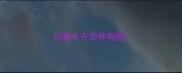 乌鲁木齐领养狗狗