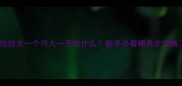 边牧幼犬一个月大一天吃什么新手必看喂养全攻略