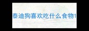 泰迪狗喜欢吃什么食物