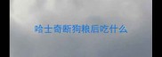 哈士奇断狗粮后吃什么