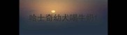 哈士奇幼犬喝牛奶