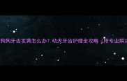 3个月大狗狗牙齿发黄怎么办幼犬牙齿护理全攻略附专业解决方案