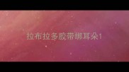 拉布拉多胶带绑耳朵