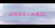 边牧怕主人的表现