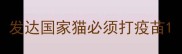 发达国家猫必须打疫苗