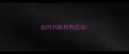 如何判断狗狗疫苗